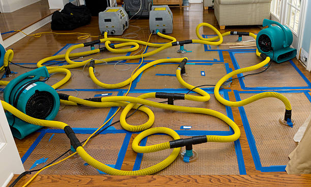 Professional Water Damage Restoration technician working in Mount Calvary, WI
